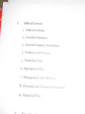SCORE business plan